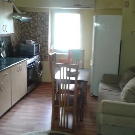 Garsoniera Delia 公寓