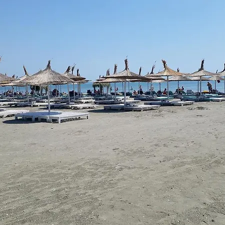 Garsoniera Delia Daire