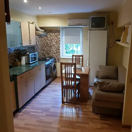 Garsoniera Delia 公寓 *